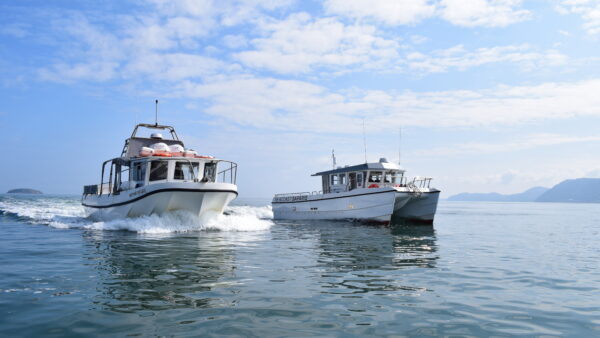 Puffin Island Cruises, Menai Strait Cruises or Both!