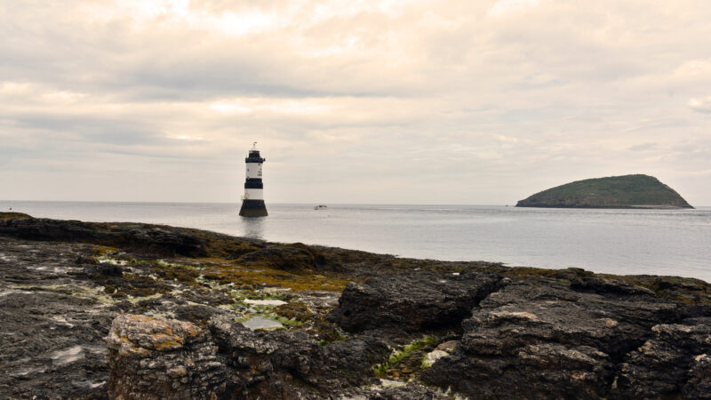 Puffin Island Cruises